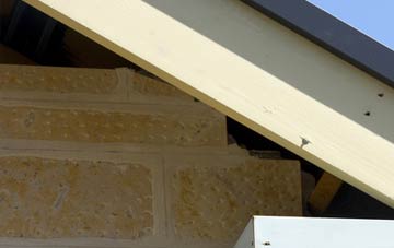 soffit repair Newingreen