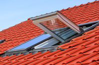 Newingreen roof window