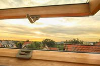 rated Newingreen roof window companies